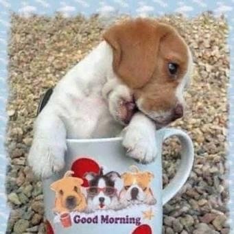 RickRick787899's profile picture. Am a happy person who like making people smile.