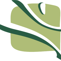 Danza Contemporánea (@dccuba) 's Twitter Profile