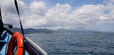 Triniguy9's profile picture. 