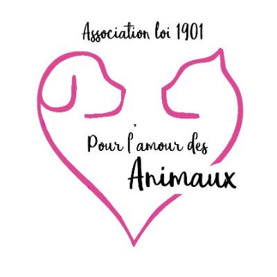 Venir en aide aux animaux, en mettant au coeur de ses priorités le bien-être de chacun, quelque soit son âge, sa race ou ses antécédents.