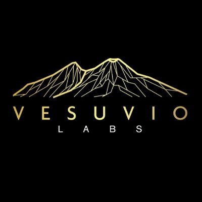 CTO-as-a-Service & Venture Builder with expertise in Insurtech, Wealthtech and Fintech, led by @k_feldborg

info@vesuvio.io