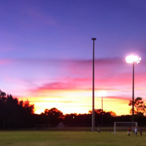 EliseSchreiner's profile picture. 