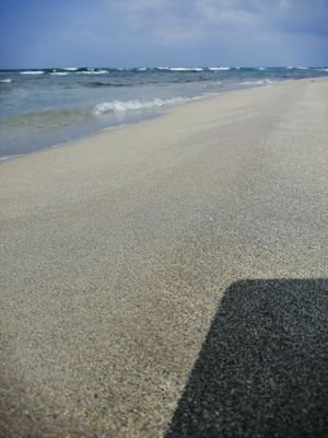 6tBTDRxhGFOxBJ3's profile picture. 