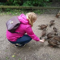 Bryony Miller (@bryonymiller1) 's Twitter Profile