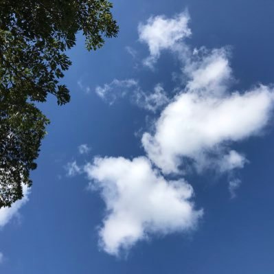 ryuz05625467's profile picture. 