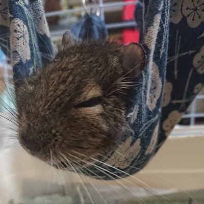 kyana_1127's profile picture. 