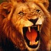 Michael Przybylski (@mzprzybylski) Twitter profile photo