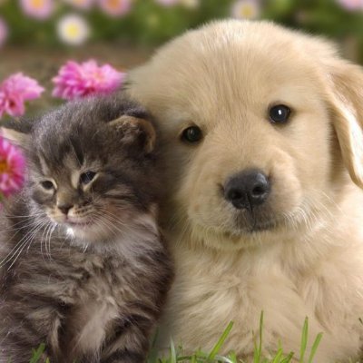 SteveWi20404682's profile picture. 