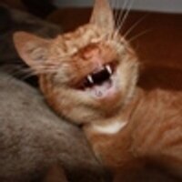 Игорь Июлин (@twitty6net2) 's Twitter Profile