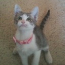 Juli Murphy - @jmhashi - Twitter