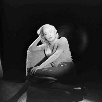 terrymalloys's profile picture. 