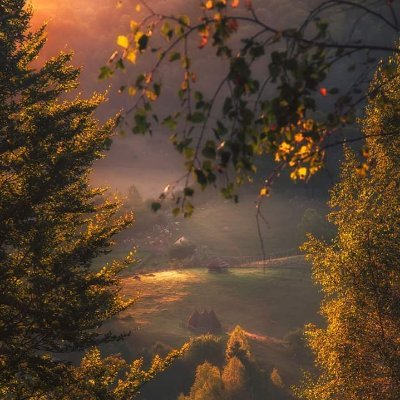 Mkholo_BM's profile picture. Forgiveness takes more strength than anger.