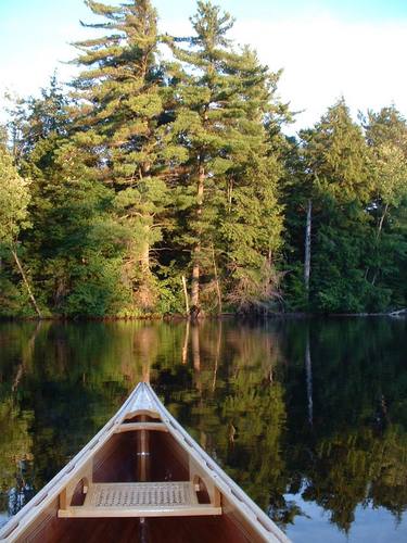 muskokariver's profile picture. Cherishing life in a beautiful place!