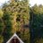 muskokariver's profile image