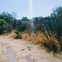 francisco diaz (@ficom) 's Twitter Profile