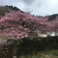 まえな (@maena_cml) 's Twitter Profile