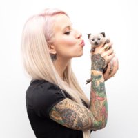 Kitten Lady (@kittenxlady) 's Twitter Profile