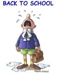 Steiff824's profile picture. 