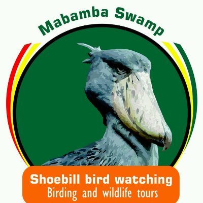 I'm an ornithologist, a photographer, researcher and birder based in birds of East Africa especially in birds of Uganda.We do birding and Wildlife tours in Ug.