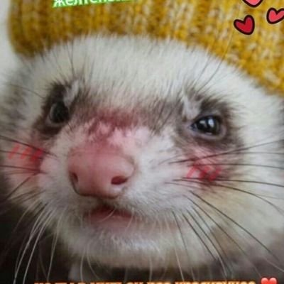 __opasNAST__'s profile picture. 