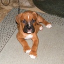 Ashley Philbrick - @hotfrogey - Twitter