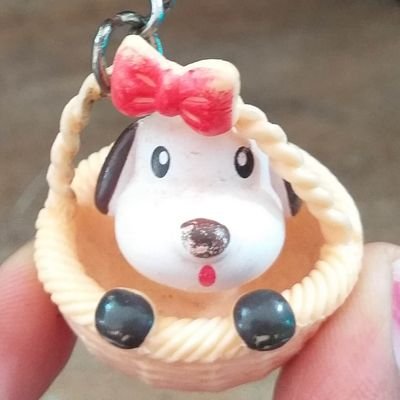 CutieUma's profile picture. 