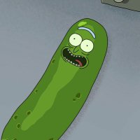 π»πͺ PickleRick π»πͺ (@pickledmsgnr) 's Twitter Profile