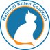 National Kitten Coalition (@NationalKitten) Twitter profile photo