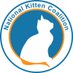 National Kitten Coalition (@nationalkitten) Twitter profile photo