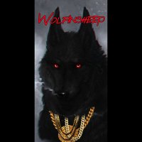 Wolfinsheepclothings007 (@wolfinsheepclo5) 's Twitter Profile