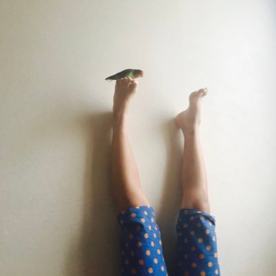 panapana171's profile picture. 三度の飯とサカナクション 🐟🍚 /インコを一郎さんの袖口に入れる🦜/時々壮大な夢日記を記す/時々はんこ彫りまくる/森山直太朗/折坂悠太/電グル💡/CHO CO PA CO CHO CO QUIN QUIN/バスクラリネット吹き/低音好き