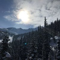 Nicole Filipow (@niksfil) 's Twitter Profile