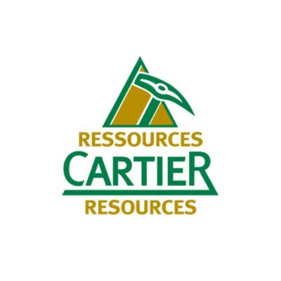 cartier resources stock