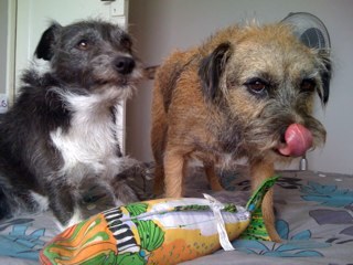 lizbetbadger's profile picture. Wife of 1, Mummy of 2, Teacher of Yr 6, Brighton.