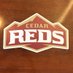 cedarhigh (@cedarhighschool) Twitter profile photo cedarhigh (@cedarhighschool) Twitter profile photo