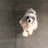 Bay_anci's profile image