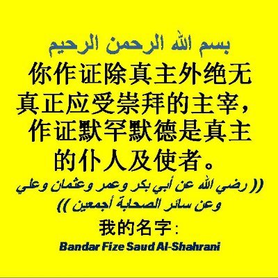 你作证除真主外绝无真正应受崇拜的主宰，作证默罕默德是真主的仆人及使者。