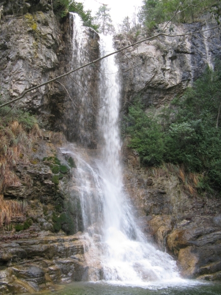 orlias's profile picture. 