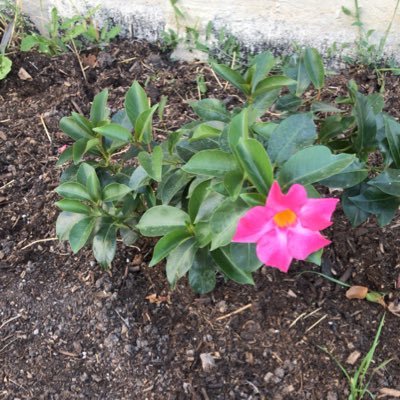 Reyes_V701's profile picture. Daughter. Sister. Love Movies and Spend time with my love ones. Always Strive to be the best that I can be & Never give up.