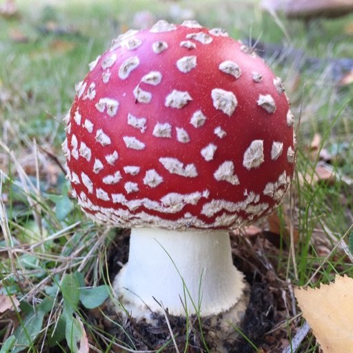 PeterDixie's profile picture. Landscape & architectural photographer based in Shanghai with https://t.co/RIiYaW1iIf