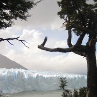 Domingo Sánchez-Mesa (@elquellegatarde) 's Twitter Profile Photo