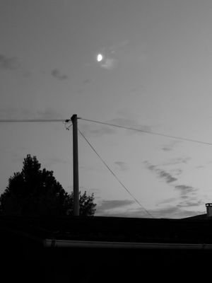 KayaRobbins's profile picture. 