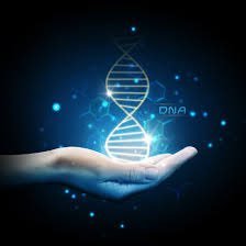 Ph.Lee - Biotechnology Profile