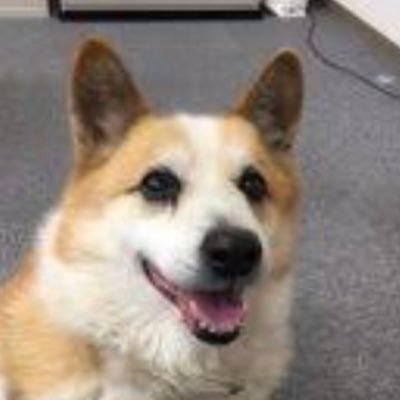 fkuname's profile picture. クンニが好きで舐め犬活動を福岡県福岡市で行っています。クンニに興味がある女性からのご依頼お待ちしております。