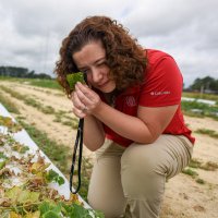 NC State Veggie Pathology(@QuesadaLabNCSU) 's Twitter Profile Photo