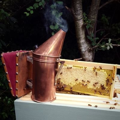 #BeekeepersHour Thursday 9pm - 10pm UK

Share your news, pictures, events and tips with other #Beekeepers around the world.

We will #RT #BeekeepersHour tags 🐝