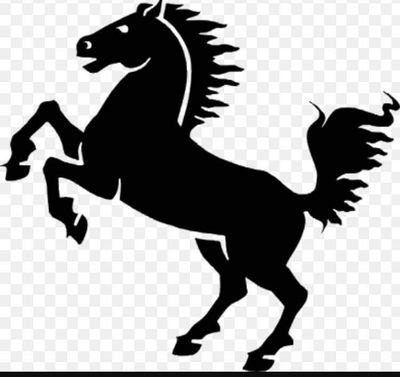 wessammoussa1's profile picture. عاشقة مصر