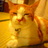 crazyrockjin's profile image