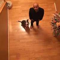 Job (@joby_21) 's Twitter Profile