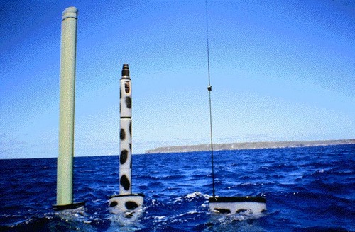 runsilent's profile picture. STL guy, married to a wonderful gal & exploring ethical non-monogamy w/locals.